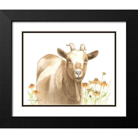 Daisy Goat Black Modern Wood Framed Art Print with Double Matting by Babbitt, Gwendolyn