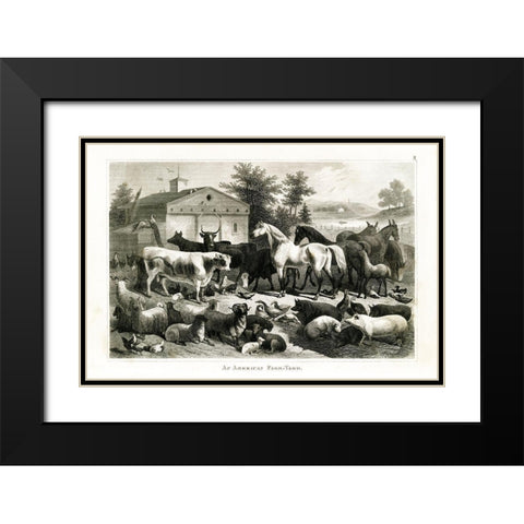 1800s Farm Animal Chart Black Modern Wood Framed Art Print with Double Matting by Babbitt, Gwendolyn