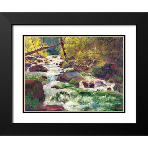 Mountain Stream Black Modern Wood Framed Art Print with Double Matting by Bailey, Carol