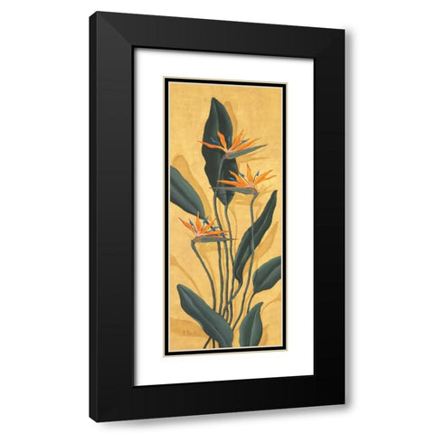Bird of Paradise Black Modern Wood Framed Art Print with Double Matting by Brent, Paul