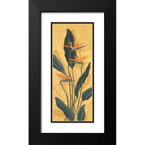 Bird of Paradise Black Modern Wood Framed Art Print with Double Matting by Brent, Paul
