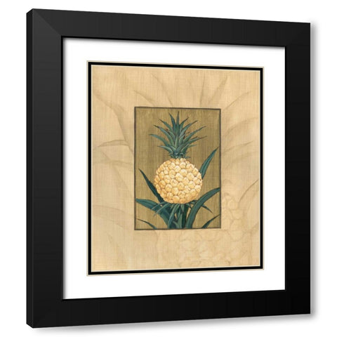 Sugar Loaf Pineapple Black Modern Wood Framed Art Print with Double Matting by Brent, Paul