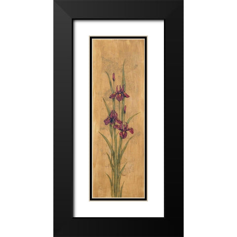 Iris of Delos I Black Modern Wood Framed Art Print with Double Matting by Brent, Paul