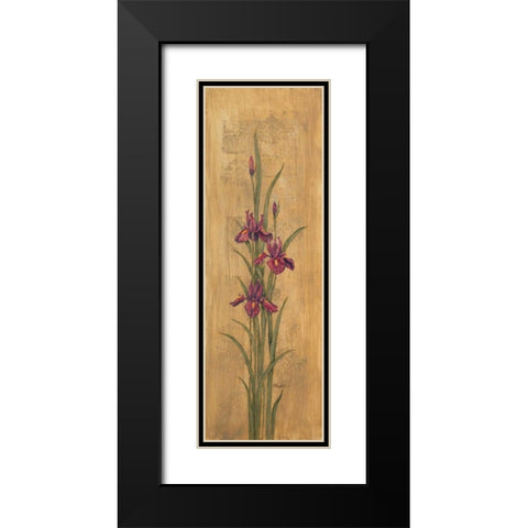 Iris of Delos II Black Modern Wood Framed Art Print with Double Matting by Brent, Paul
