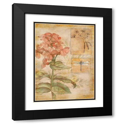 Flora Dragonfly Black Modern Wood Framed Art Print with Double Matting by Brent, Paul