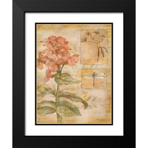 Flora Dragonfly Black Modern Wood Framed Art Print with Double Matting by Brent, Paul
