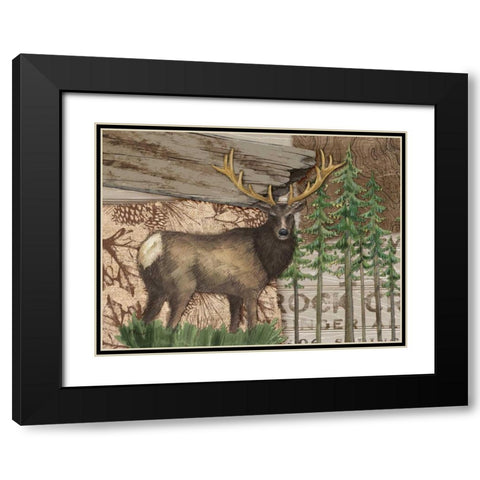 Alpine Collage II Black Modern Wood Framed Art Print with Double Matting by Brent, Paul