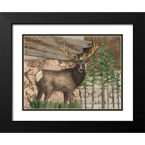 Alpine Collage II Black Modern Wood Framed Art Print with Double Matting by Brent, Paul