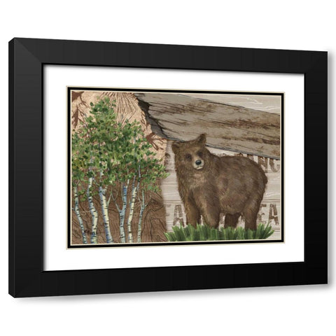 Alpine Collage IV Black Modern Wood Framed Art Print with Double Matting by Brent, Paul