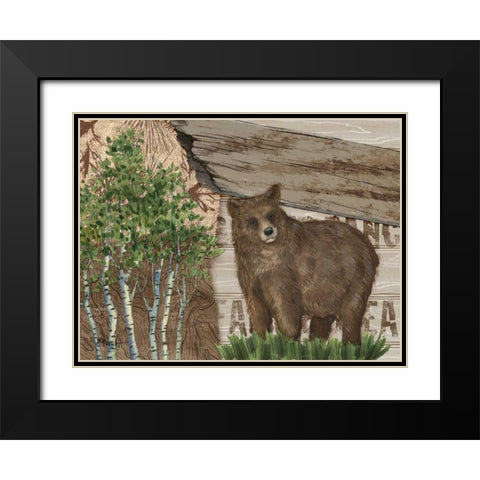 Alpine Collage IV Black Modern Wood Framed Art Print with Double Matting by Brent, Paul