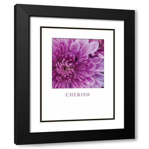 Cherish Black Modern Wood Framed Art Print with Double Matting by Berzel, Erin
