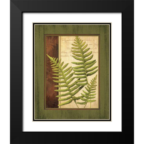 Fern Grotto III Black Modern Wood Framed Art Print with Double Matting by Corbin, Delphine