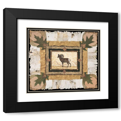 Big Horn Ram Black Modern Wood Framed Art Print with Double Matting by Gladding, Pamela