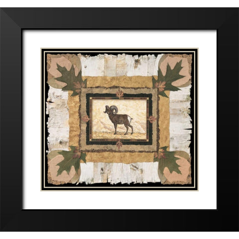 Big Horn Ram Black Modern Wood Framed Art Print with Double Matting by Gladding, Pamela
