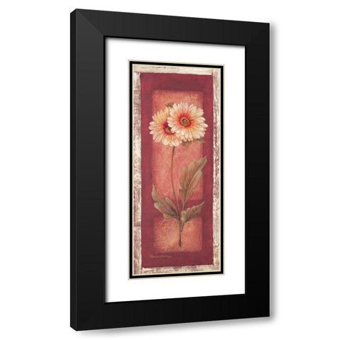 Red Door Gaillardia Black Modern Wood Framed Art Print with Double Matting by Gladding, Pamela