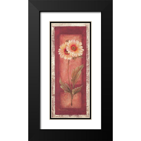 Red Door Gaillardia Black Modern Wood Framed Art Print with Double Matting by Gladding, Pamela
