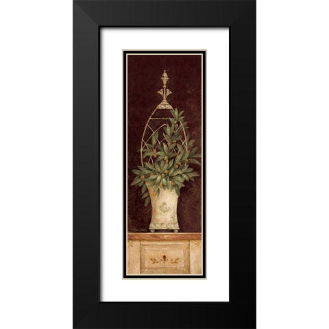 Olive Topiary II Black Modern Wood Framed Art Print with Double Matting by Gladding, Pamela