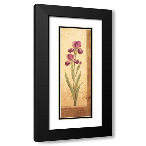 Grandiflora II Black Modern Wood Framed Art Print with Double Matting by Gladding, Pamela