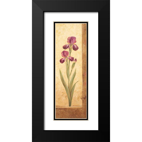 Grandiflora II Black Modern Wood Framed Art Print with Double Matting by Gladding, Pamela