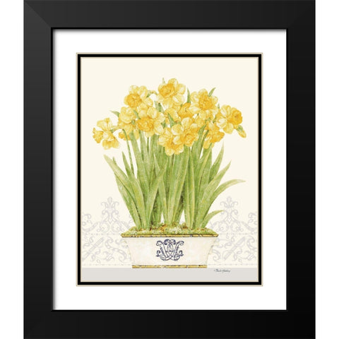 Imperial Daffodils Black Modern Wood Framed Art Print with Double Matting by Gladding, Pamela