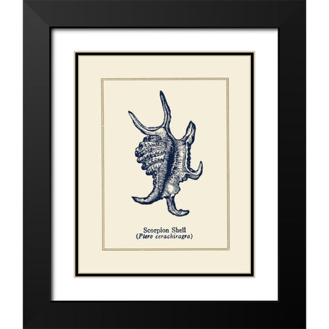 Scorpion Shell Black Modern Wood Framed Art Print with Double Matting by Gorham, Gregory