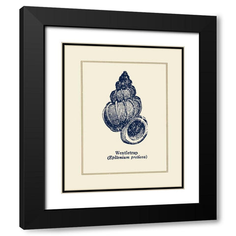 Wentletrap Shell Black Modern Wood Framed Art Print with Double Matting by Gorham, Gregory