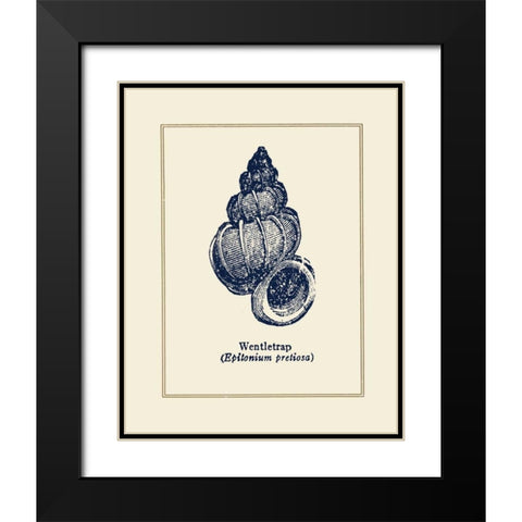 Wentletrap Shell Black Modern Wood Framed Art Print with Double Matting by Gorham, Gregory