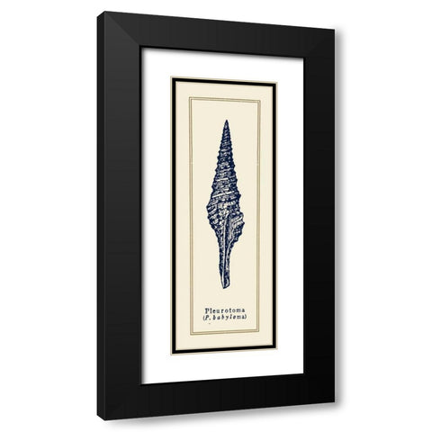 Pleurotoma Shell I Black Modern Wood Framed Art Print with Double Matting by Gorham, Gregory