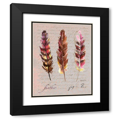 Feathers Fig 2 Black Modern Wood Framed Art Print with Double Matting by Gorham, Gregory