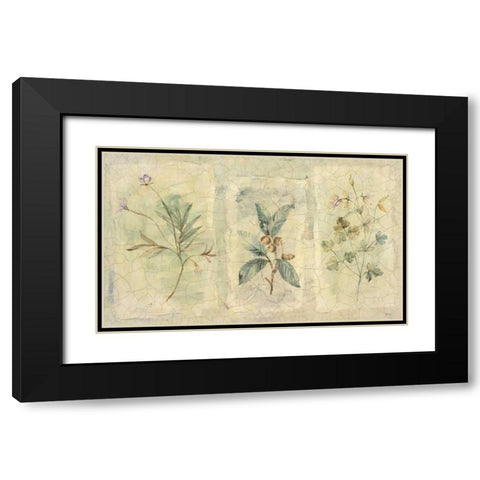 Crackle Sprigs I Black Modern Wood Framed Art Print with Double Matting by Hargittai, Paul