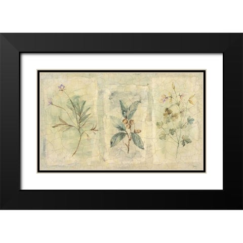 Crackle Sprigs I Black Modern Wood Framed Art Print with Double Matting by Hargittai, Paul
