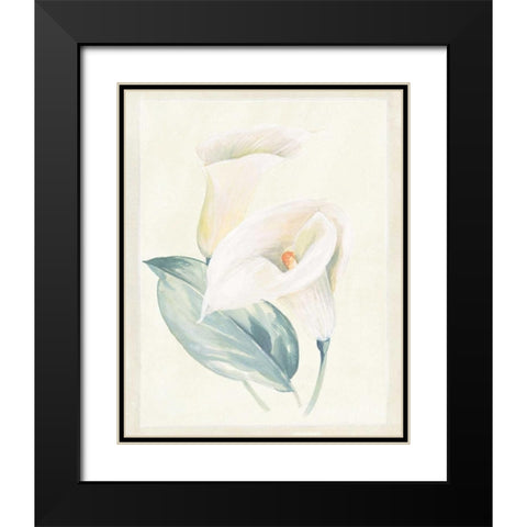 Calla Lily I Black Modern Wood Framed Art Print with Double Matting by Hargittai, Paul