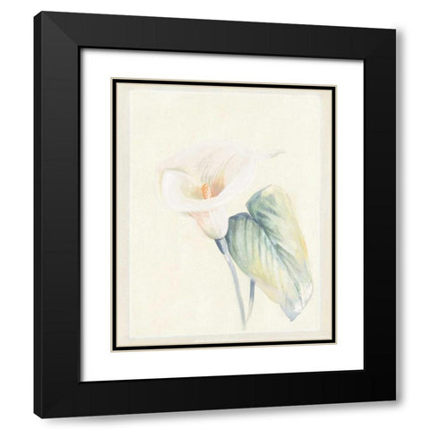 Calla Lily II Black Modern Wood Framed Art Print with Double Matting by Hargittai, Paul