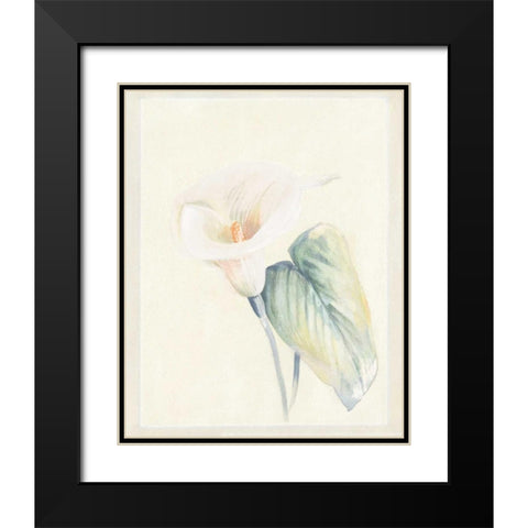 Calla Lily II Black Modern Wood Framed Art Print with Double Matting by Hargittai, Paul