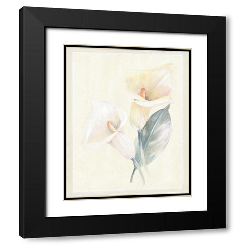 Calla Lily IV Black Modern Wood Framed Art Print with Double Matting by Hargittai, Paul