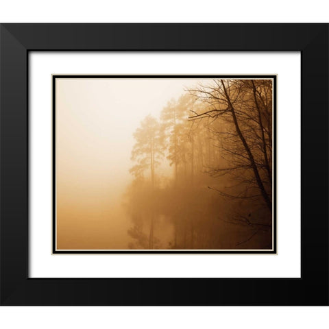 Fog on Shelly Lake I Black Modern Wood Framed Art Print with Double Matting by Hausenflock, Alan