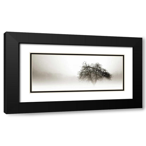 In the Mist I Black Modern Wood Framed Art Print with Double Matting by Hausenflock, Alan