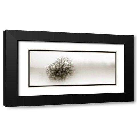 In the Mist II Black Modern Wood Framed Art Print with Double Matting by Hausenflock, Alan