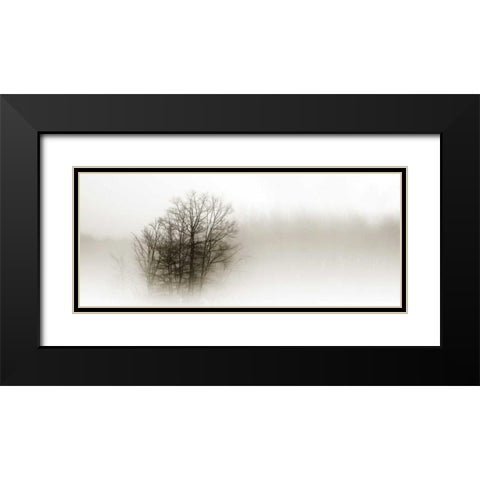 In the Mist II Black Modern Wood Framed Art Print with Double Matting by Hausenflock, Alan
