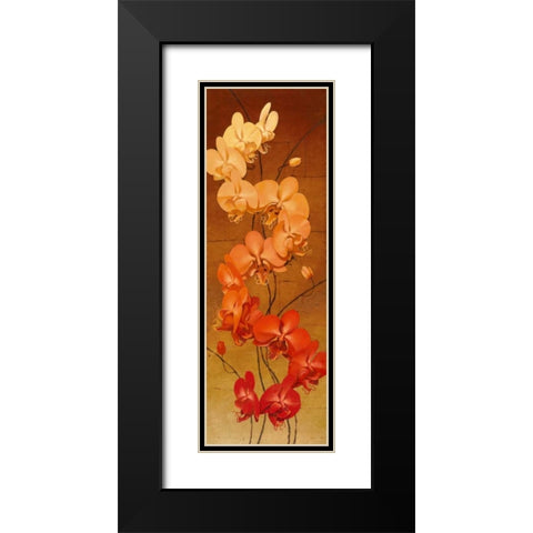 Golden Orchids II Black Modern Wood Framed Art Print with Double Matting by Catlett, Kenneth