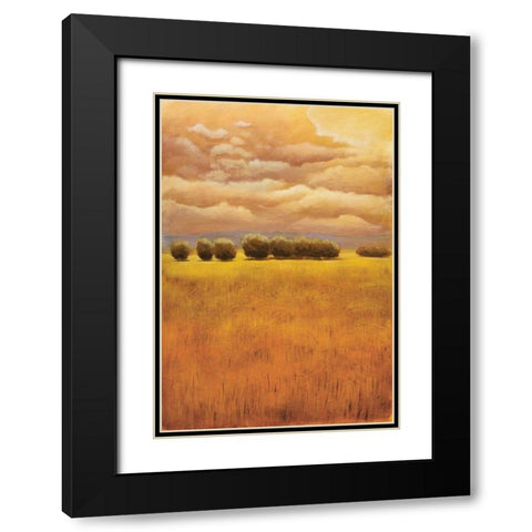 Golden Fields I Black Modern Wood Framed Art Print with Double Matting by Girard, Thomas