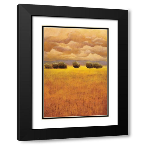 Golden Fields II Black Modern Wood Framed Art Print with Double Matting by Girard, Thomas
