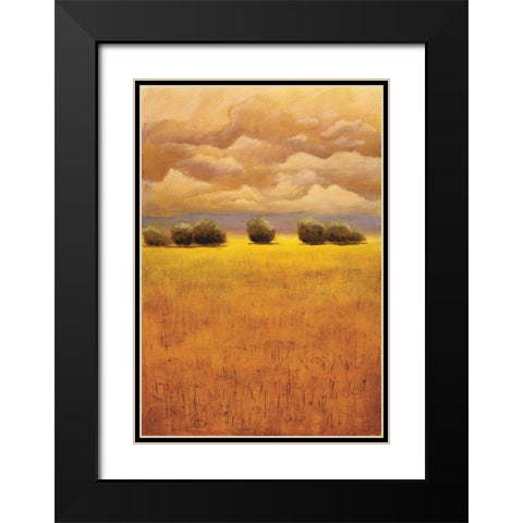 Golden Fields II Black Modern Wood Framed Art Print with Double Matting by Girard, Thomas