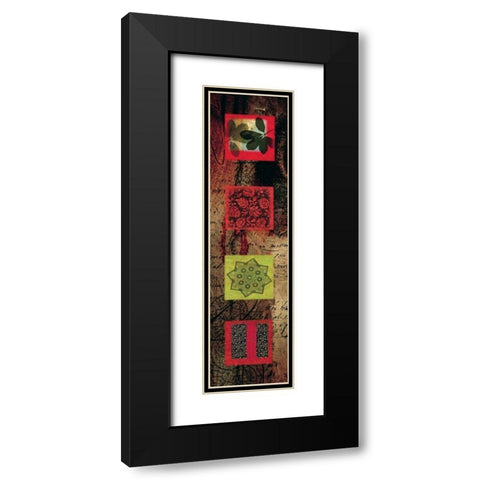 Citrus Jewel II Black Modern Wood Framed Art Print with Double Matting by Hillard, Stephen