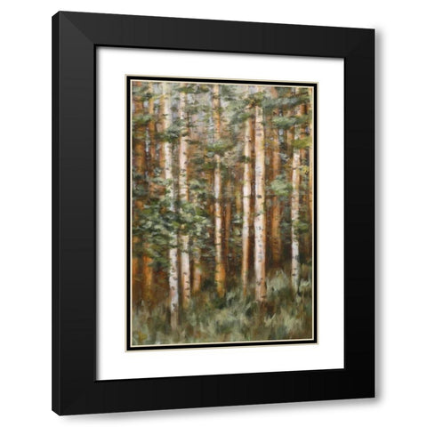 Aspen Beauty II Black Modern Wood Framed Art Print with Double Matting by Lee, Scott