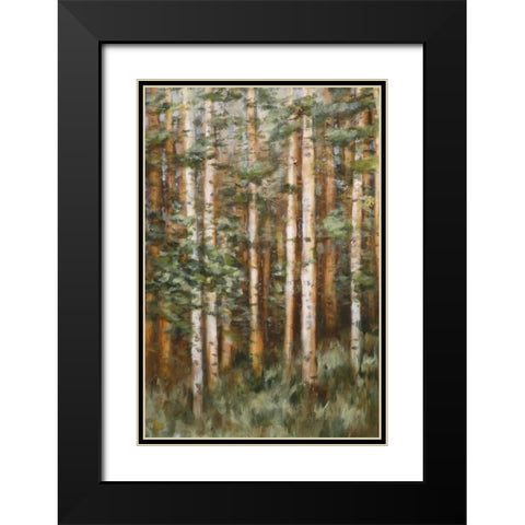Aspen Beauty II Black Modern Wood Framed Art Print with Double Matting by Lee, Scott
