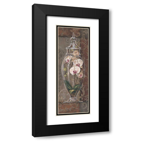 Asian Apothecary I Black Modern Wood Framed Art Print with Double Matting by Jeffrey, Jillian