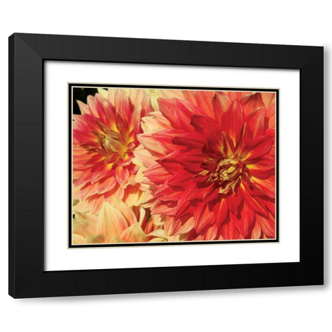 Hot Sun Black Modern Wood Framed Art Print with Double Matting by Love, Maureen