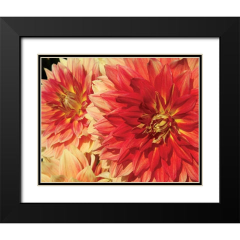 Hot Sun Black Modern Wood Framed Art Print with Double Matting by Love, Maureen
