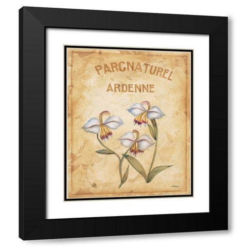 Parcnaturel II Black Modern Wood Framed Art Print with Double Matting by Linza, Loretta